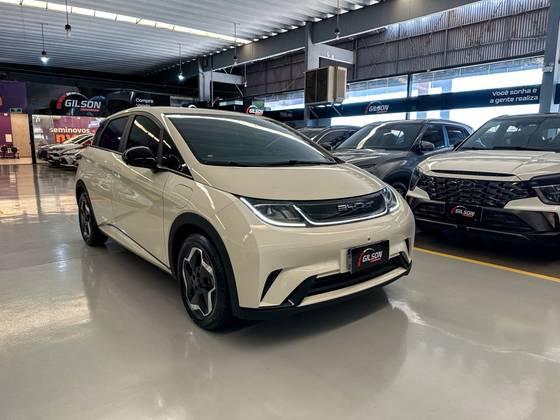 BYD DOLPHIN 44,9 KW ELÉTRICO BYD DOLPHIN 44,9 KW ELÉTRICO